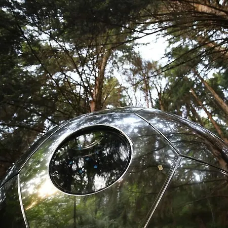 Mirror Globe Kandasphere Lyxtält